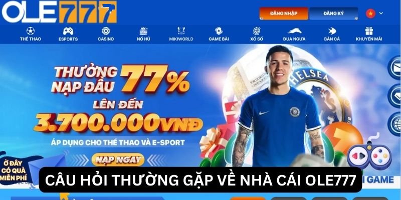 FAQ – Câu hỏi thường gặp về OLE777